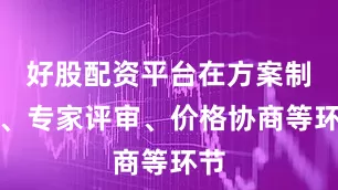 好股配资平台在方案制定、专家评审、价格协商等环节
