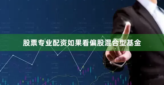 股票专业配资如果看偏股混合型基金