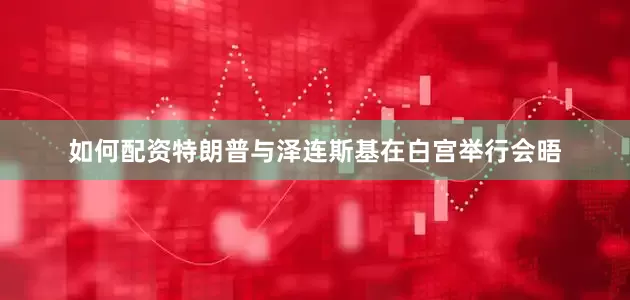 如何配资特朗普与泽连斯基在白宫举行会晤
